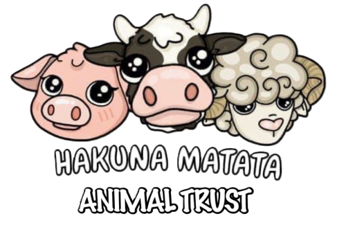 Hakuna Matata Logo